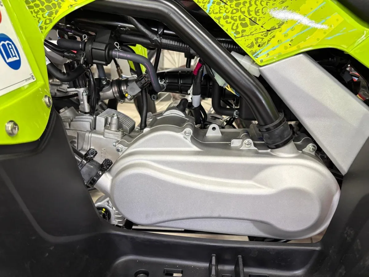 YAMAHA RAPTOR 110 2026 — foto 5