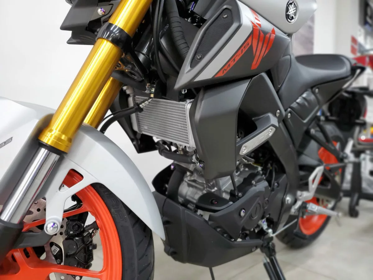 Yamaha Mt 15 Mt15 2027-Nueva — foto 11